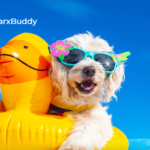 Vacation With Dogs: Why I Always Pack My BarxBuddy Busy Ball And BarxBuddy Silicon Dog Bowl