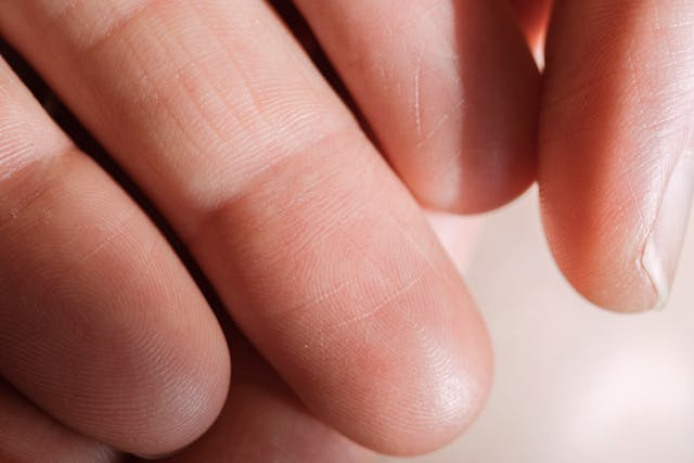 Bayometric Expands Live Scan Capabilities with Advanced Support for Mobile Biometric Devices